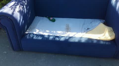 Rubbish/Recycling, a report photo