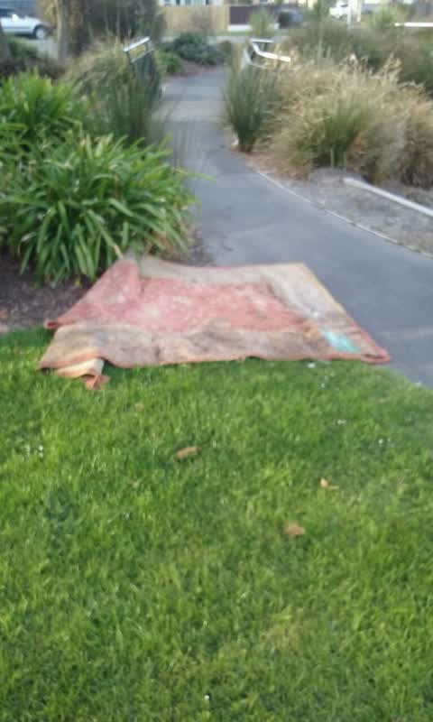 Rubbish/Recycling, a report photo