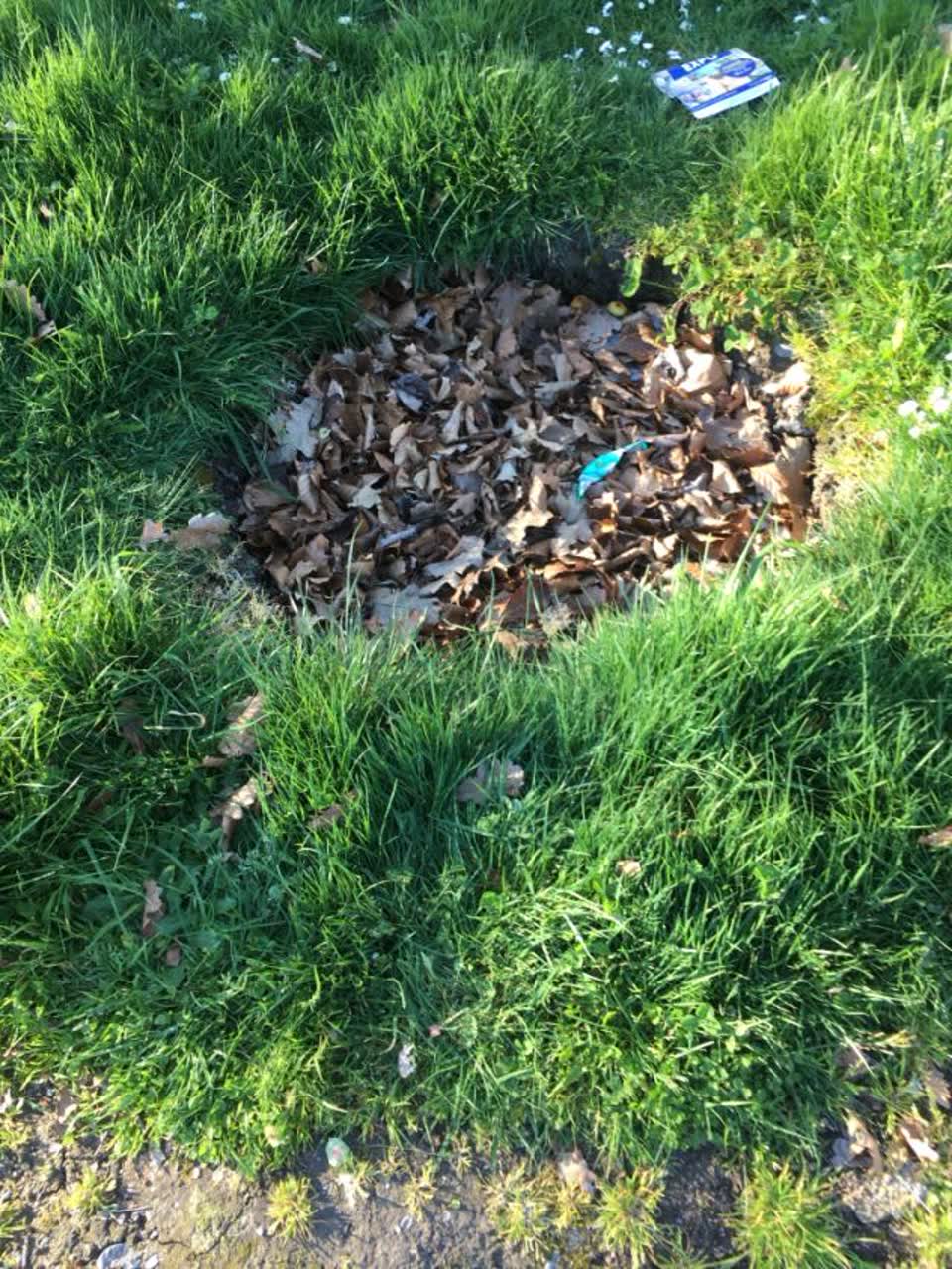 The photograph attached to this parks report