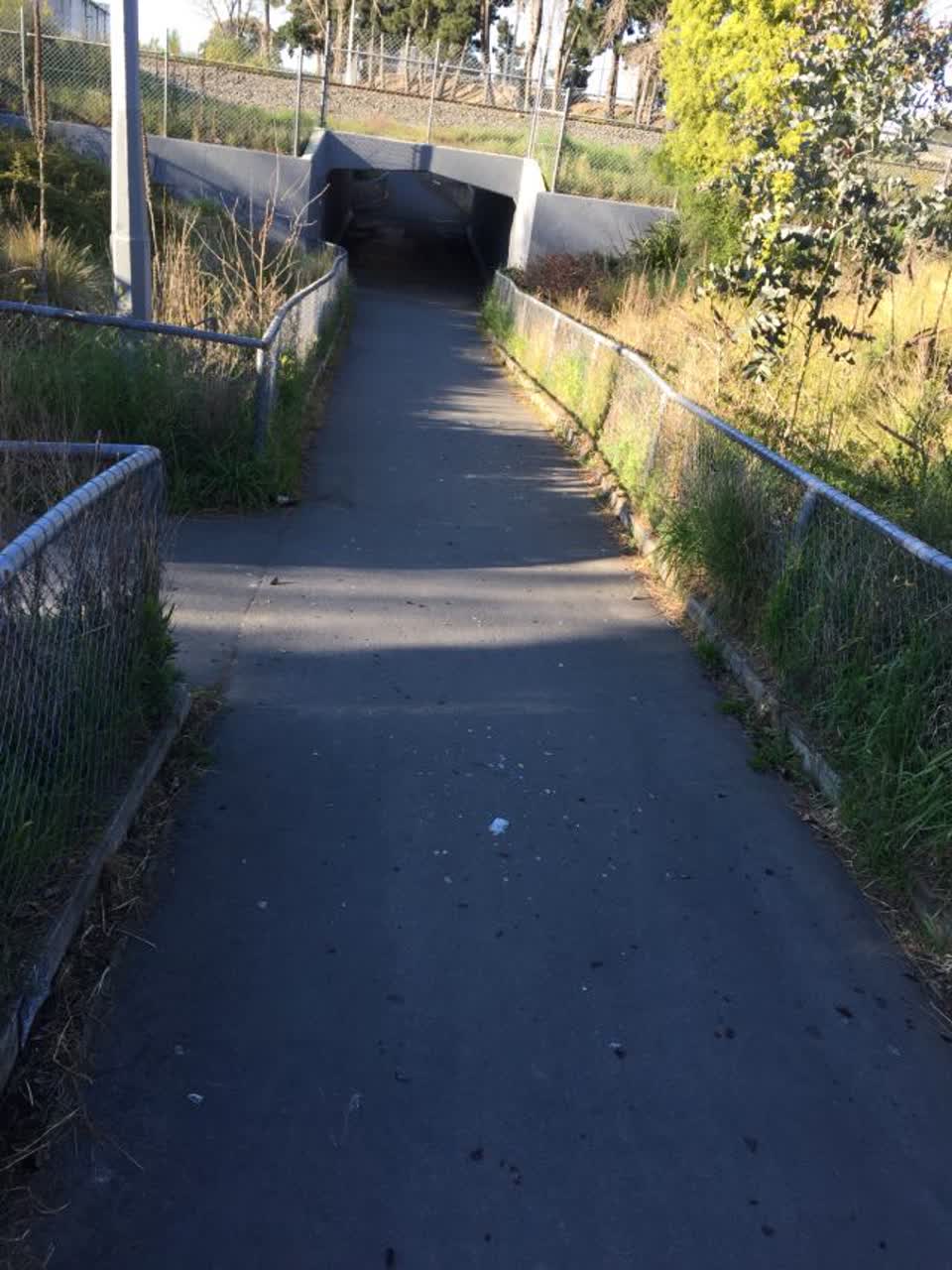 The photograph attached to this parks report