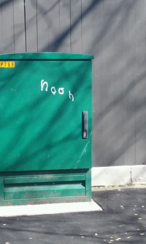 Graffiti, a report photo
