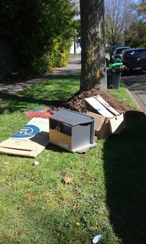 Rubbish/Recycling, a report photo