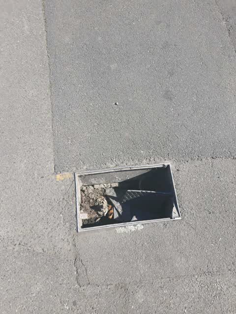 Roading/Streets, a report photo