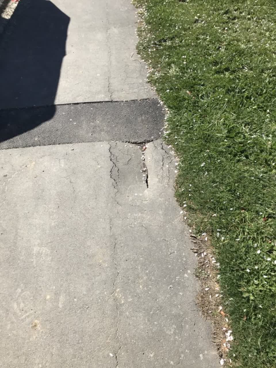 The photograph attached to this roading/streets report