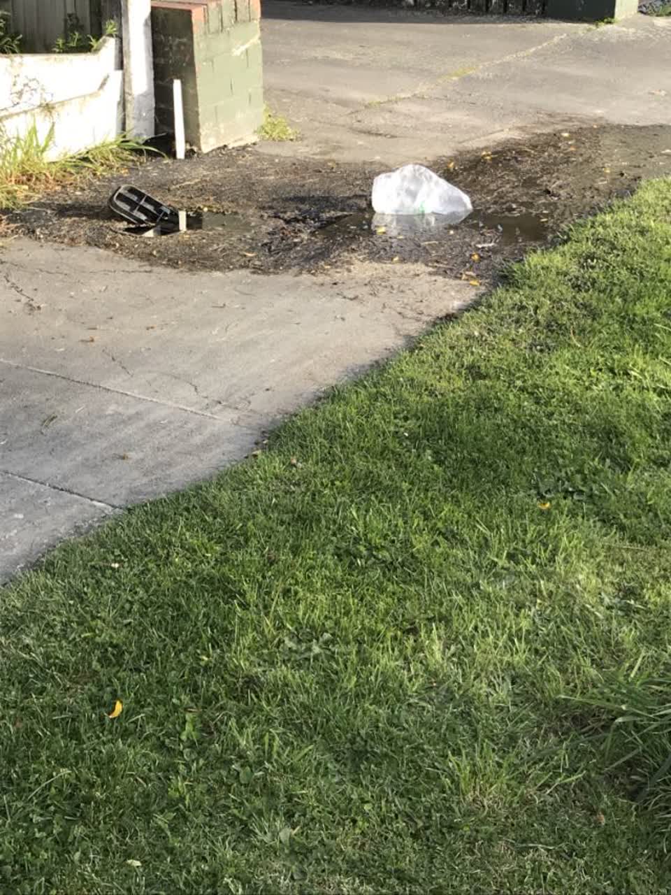 The photograph attached to this water supply report