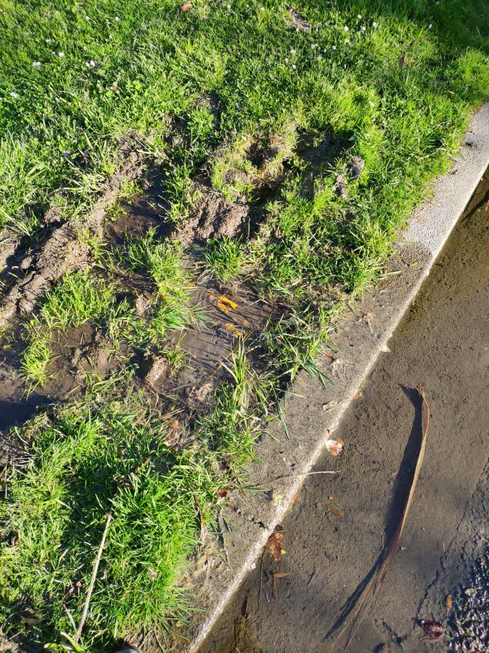 The photograph attached to this water supply report