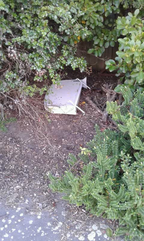 Rubbish/Recycling — a report photo