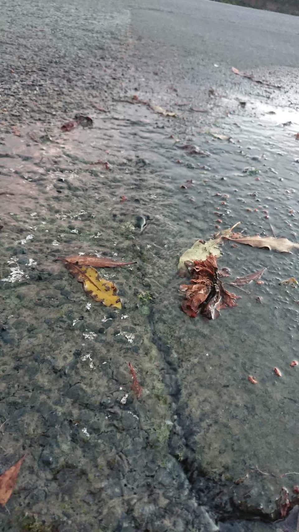 The photograph attached to this water supply report