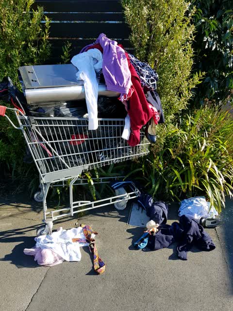 Rubbish/Recycling, a report photo