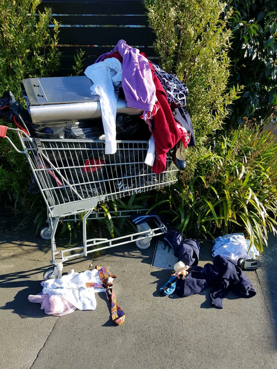 The photograph attached to this rubbish/recycling report