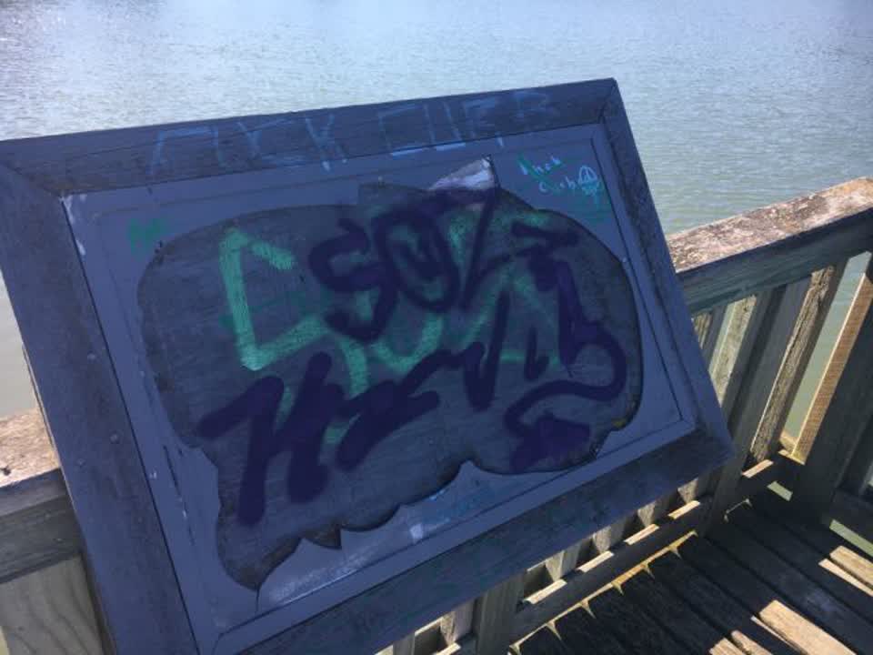The photograph attached to this graffiti report