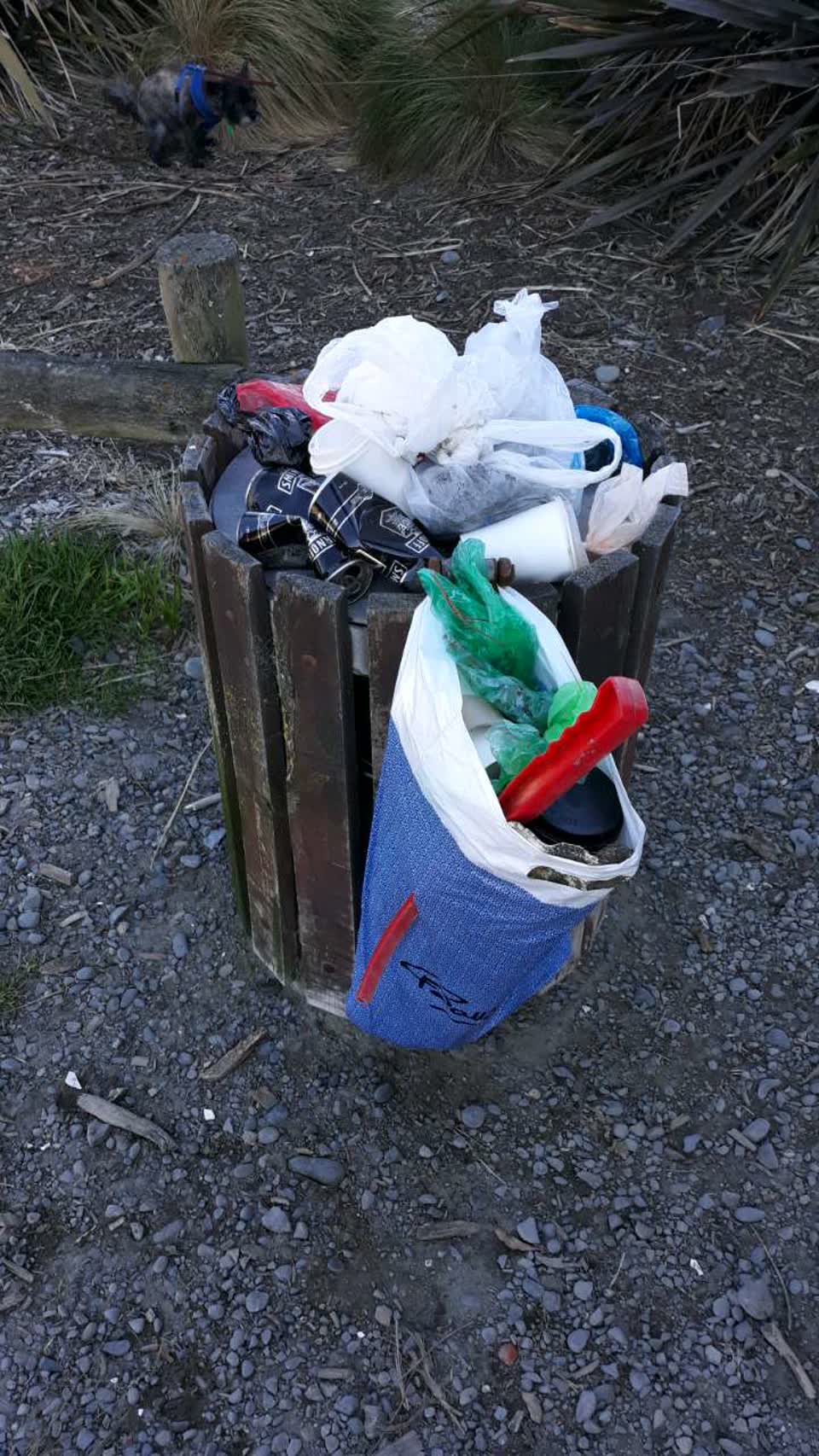 The photograph attached to this rubbish/recycling report