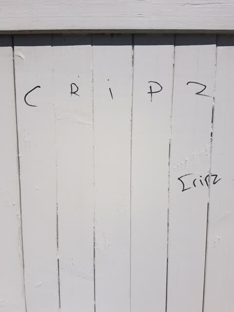 Graffiti, a report photo
