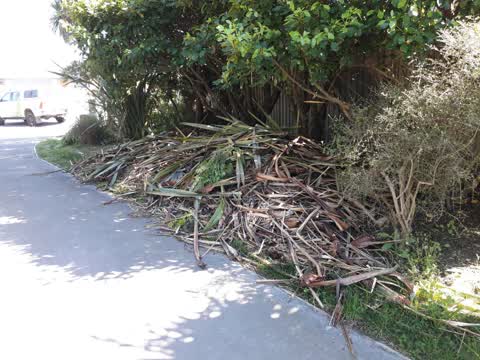 Parks, a report photo