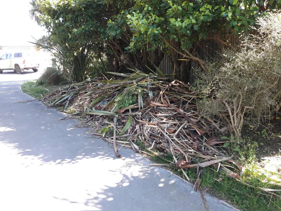 The photograph attached to this parks report