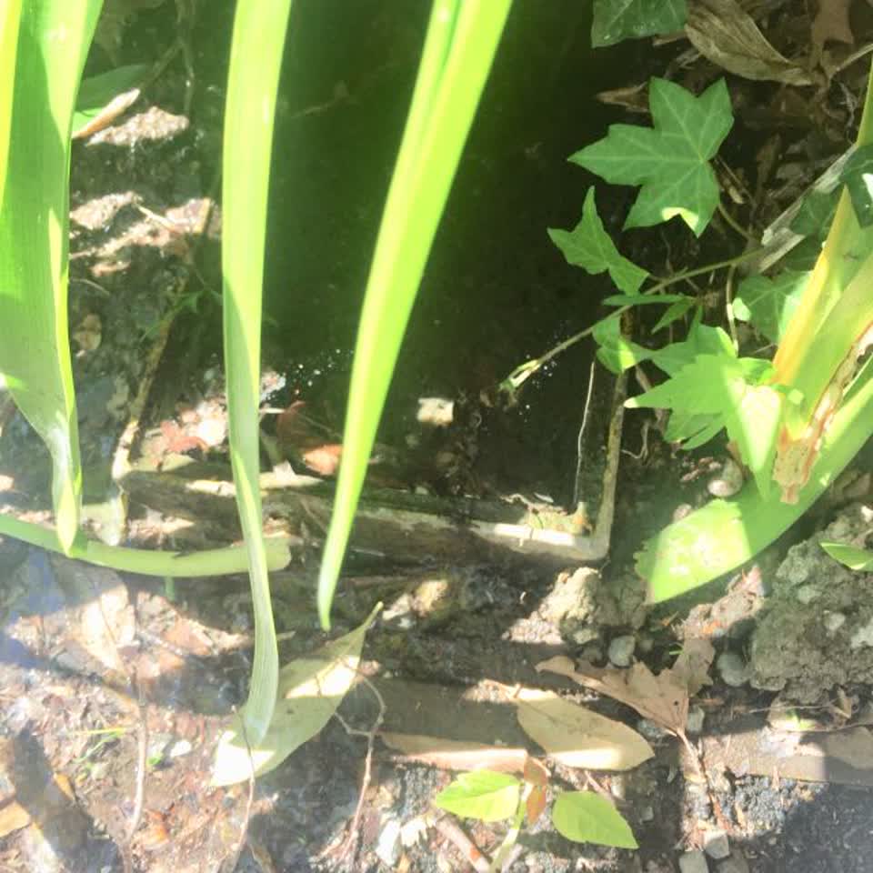 The photograph attached to this wastewater/stormwater report
