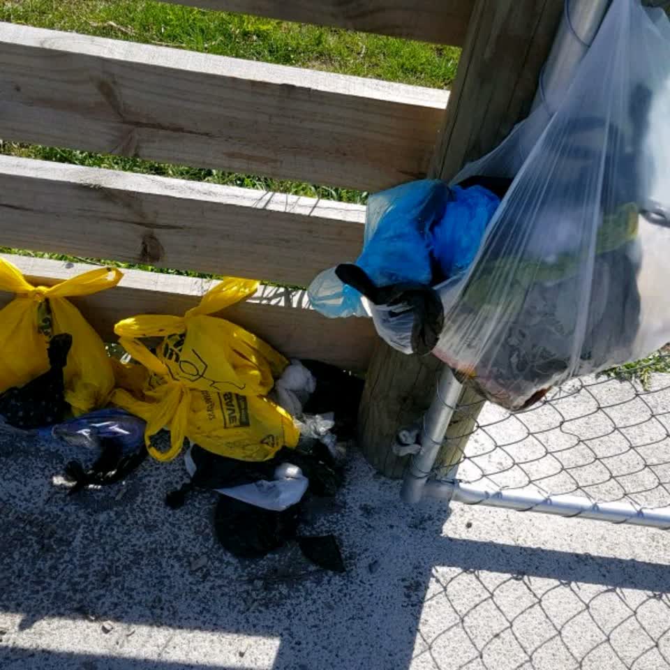 The photograph attached to this rubbish/recycling report