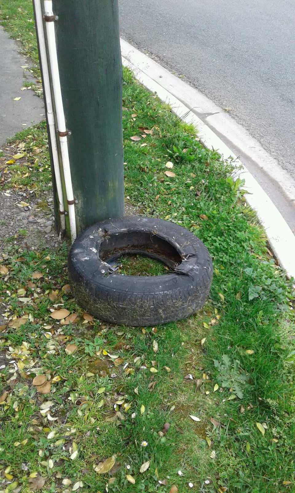 The photograph attached to this rubbish/recycling report