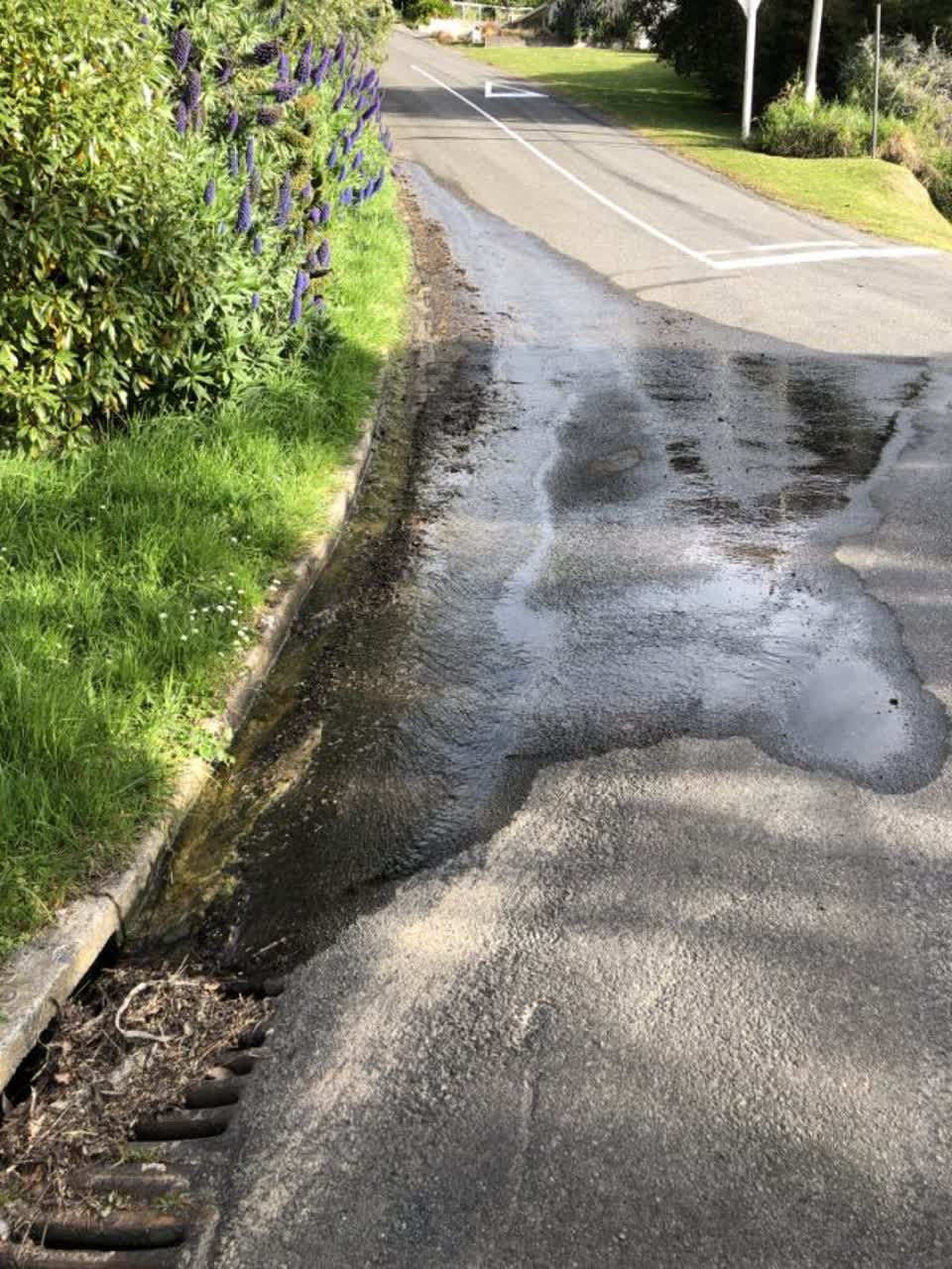 The photograph attached to this water supply report