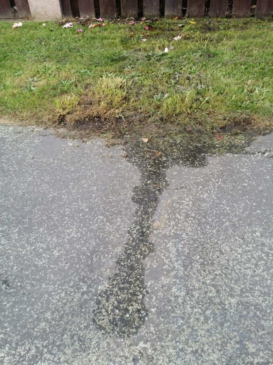 The photograph attached to this water supply report