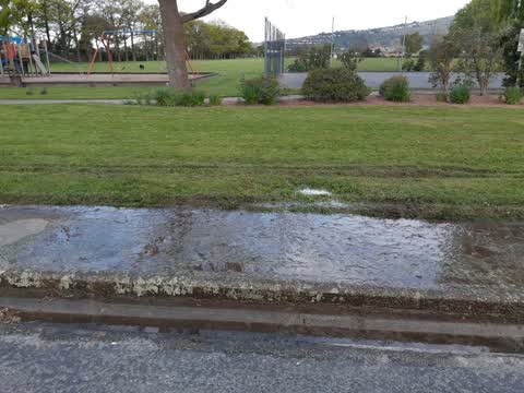 Water Supply, a report photo