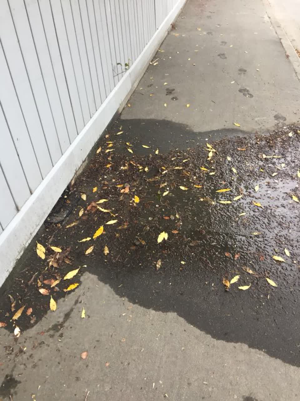 The photograph attached to this water supply report