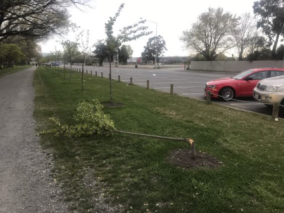 The photograph attached to this parks report