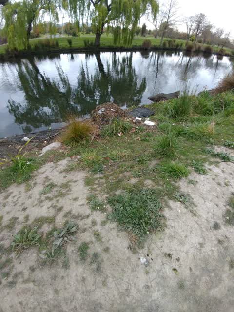 Rubbish/Recycling, a report photo