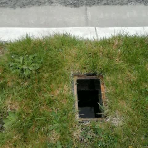 Roading/Streets, a report photo