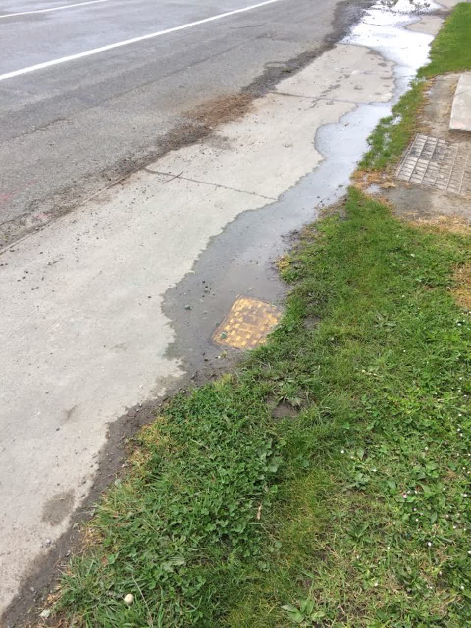 The photograph attached to this water supply report