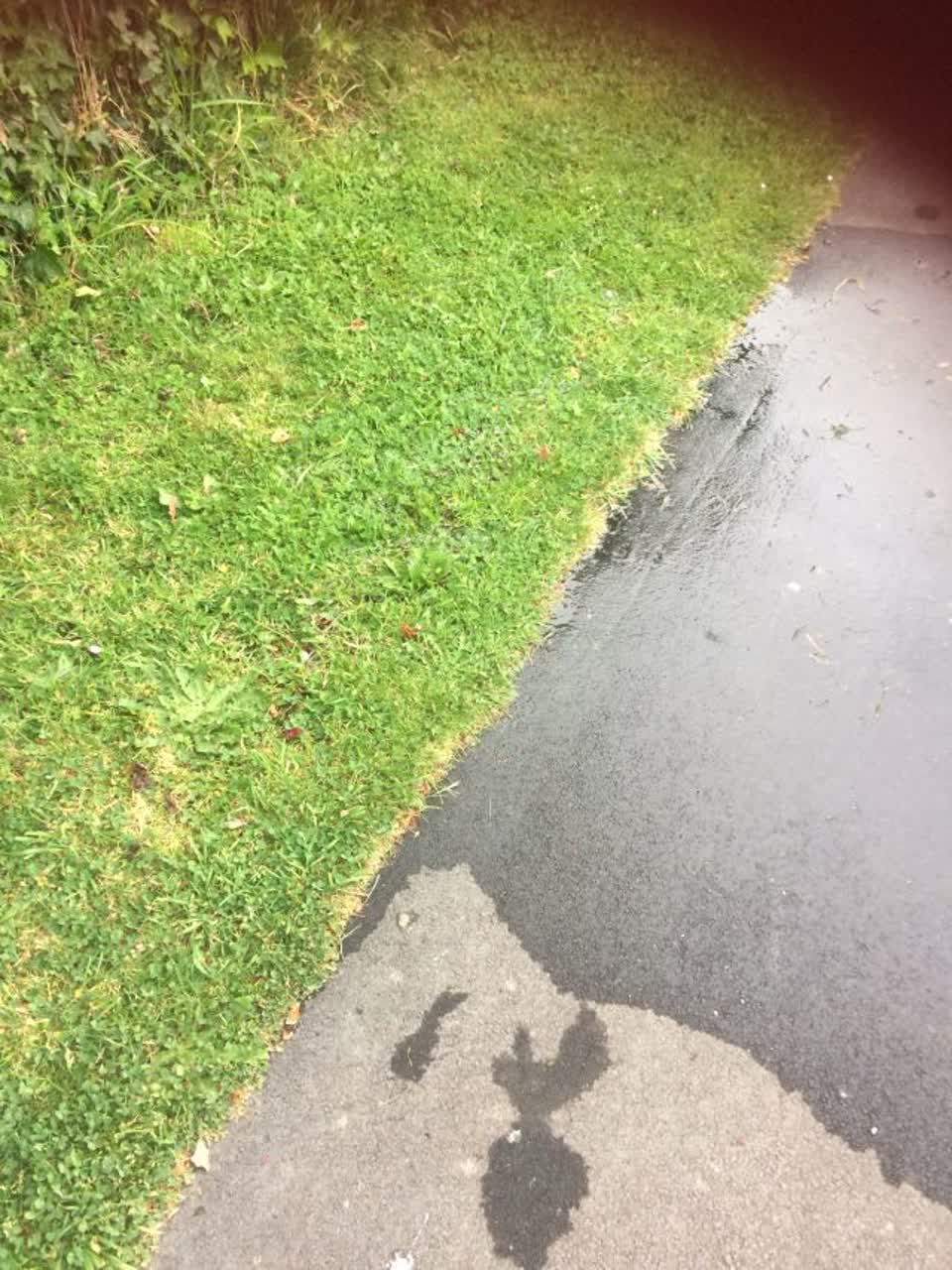The photograph attached to this water supply report