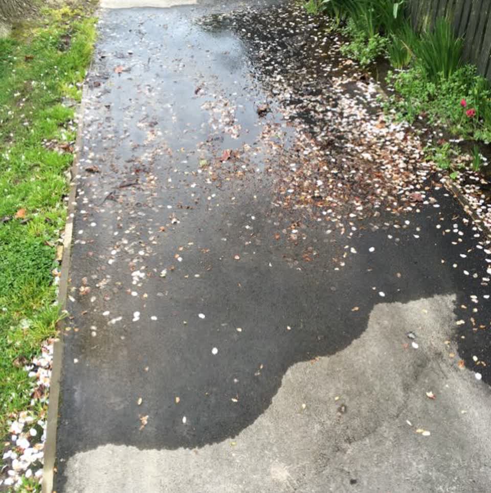 The photograph attached to this water supply report