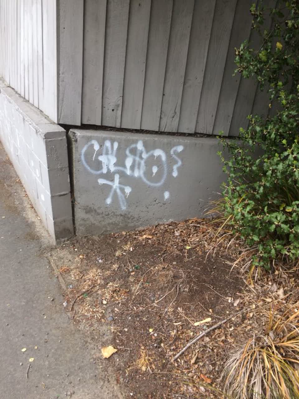 The photograph attached to this graffiti report