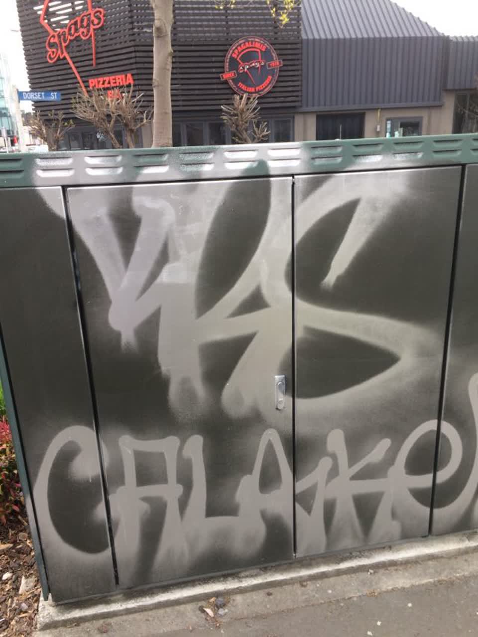 The photograph attached to this graffiti report