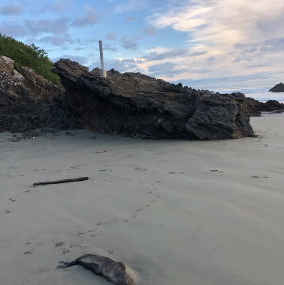 The photograph attached to this parks report
