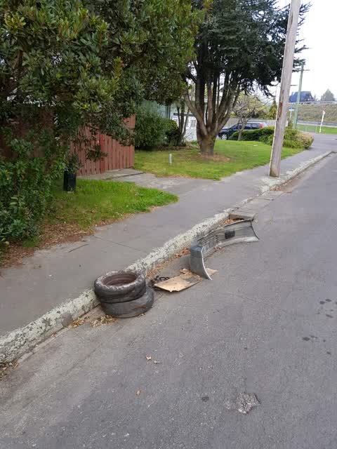 Rubbish/Recycling — a report photo