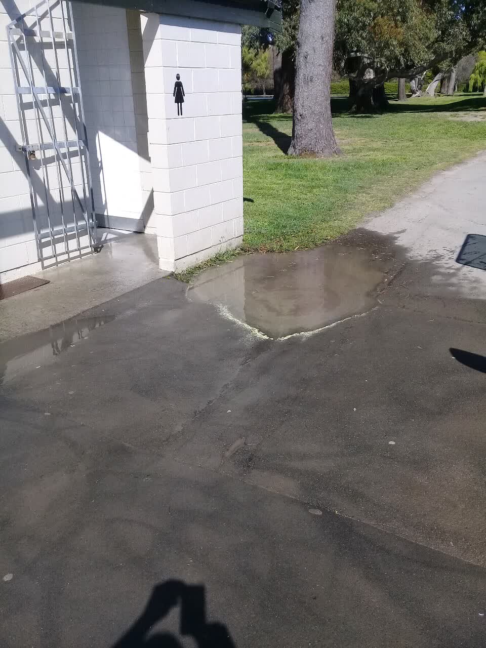 The photograph attached to this parks report