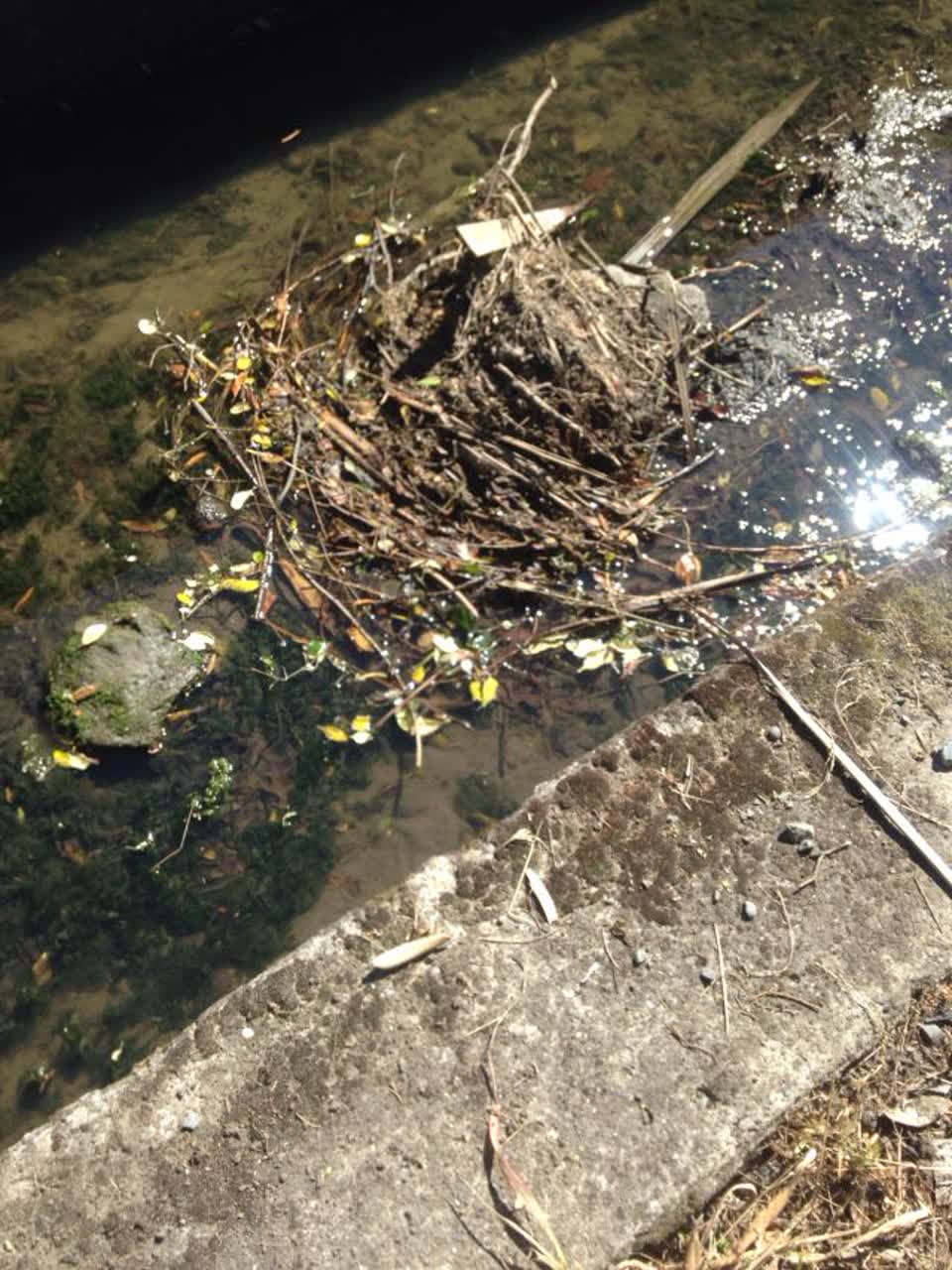 The photograph attached to this wastewater/stormwater report