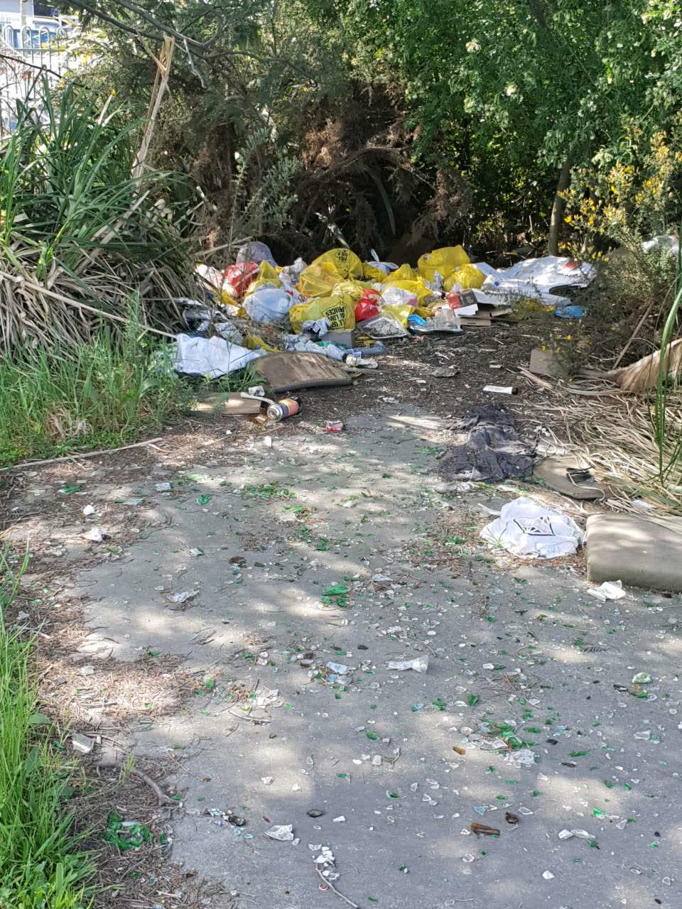 The photograph attached to this rubbish/recycling report