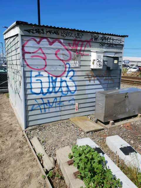 Graffiti, a report photo