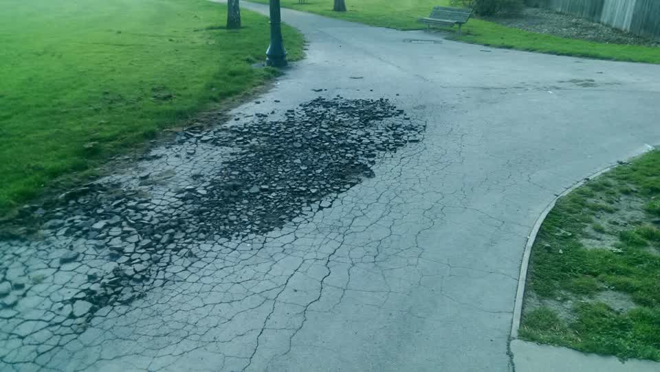 The photograph attached to this parks report