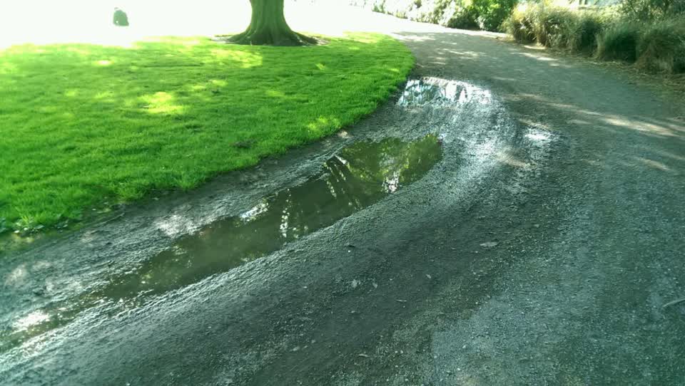 The photograph attached to this parks report