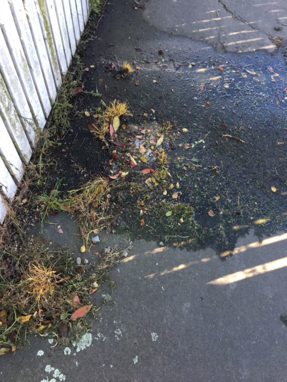 The photograph attached to this wastewater/stormwater report