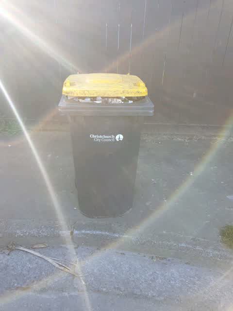 Rubbish/Recycling, a report photo