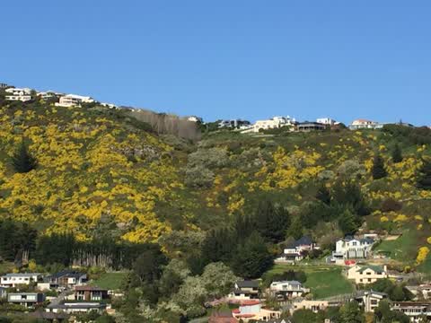 Parks, a report photo
