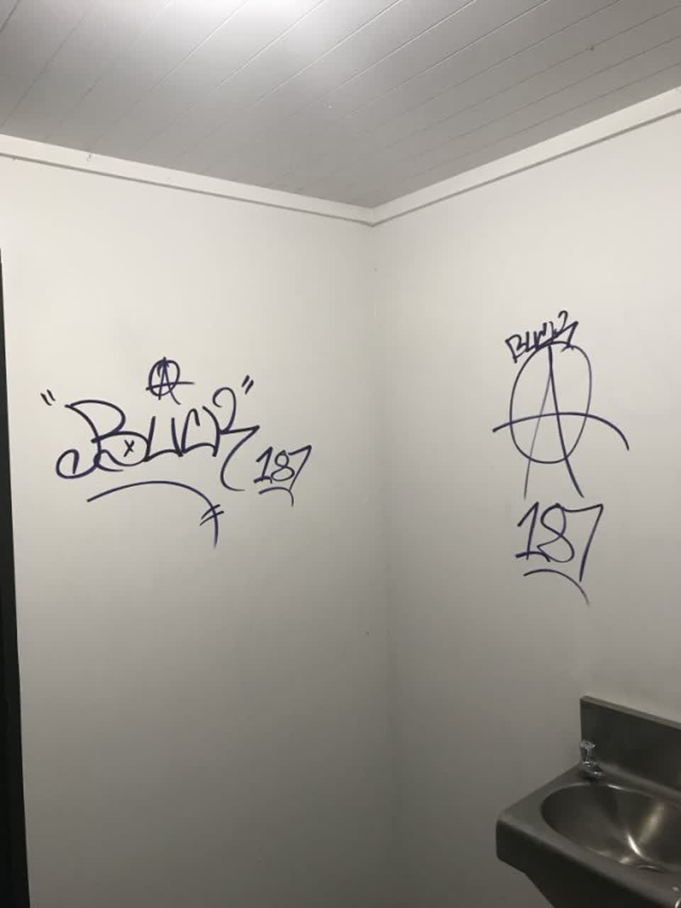 The photograph attached to this graffiti report
