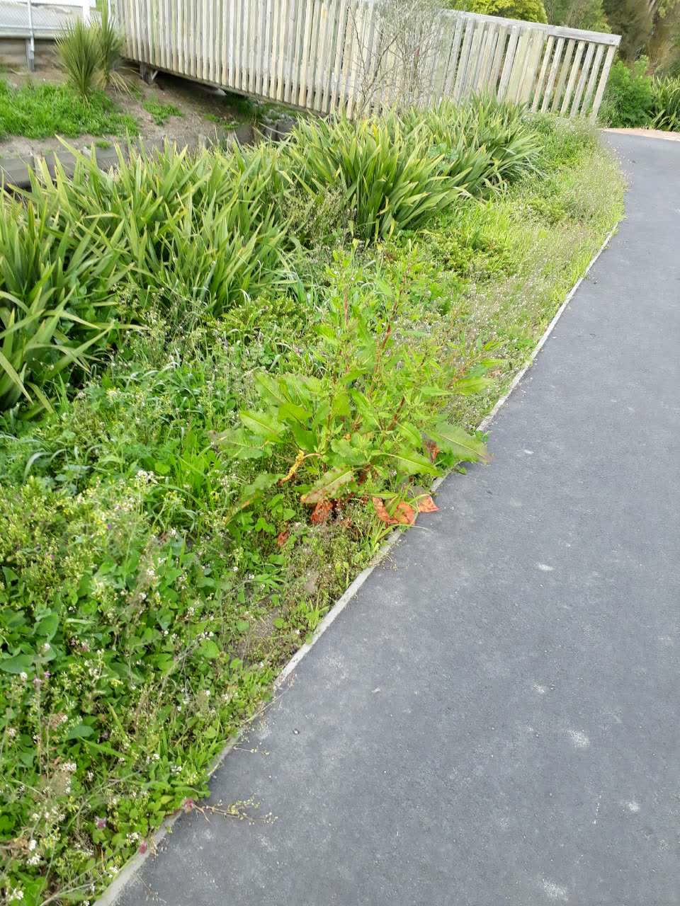 The photograph attached to this parks report