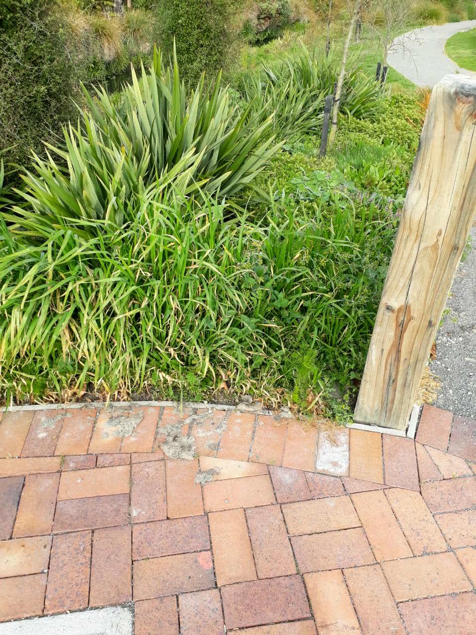 The photograph attached to this parks report