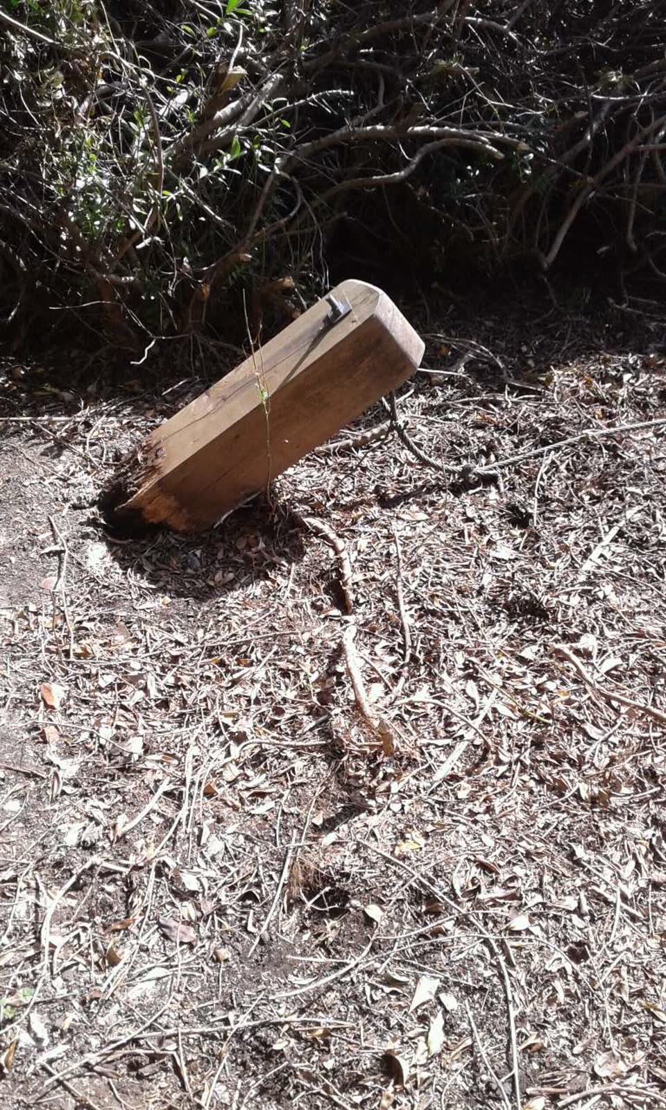 The photograph attached to this parks report