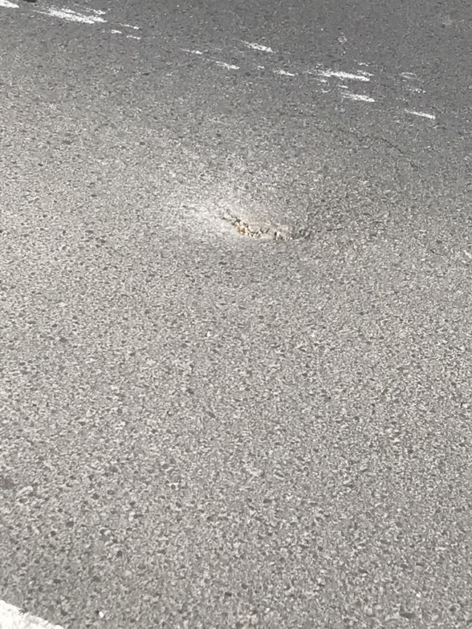 The photograph attached to this roading/streets report
